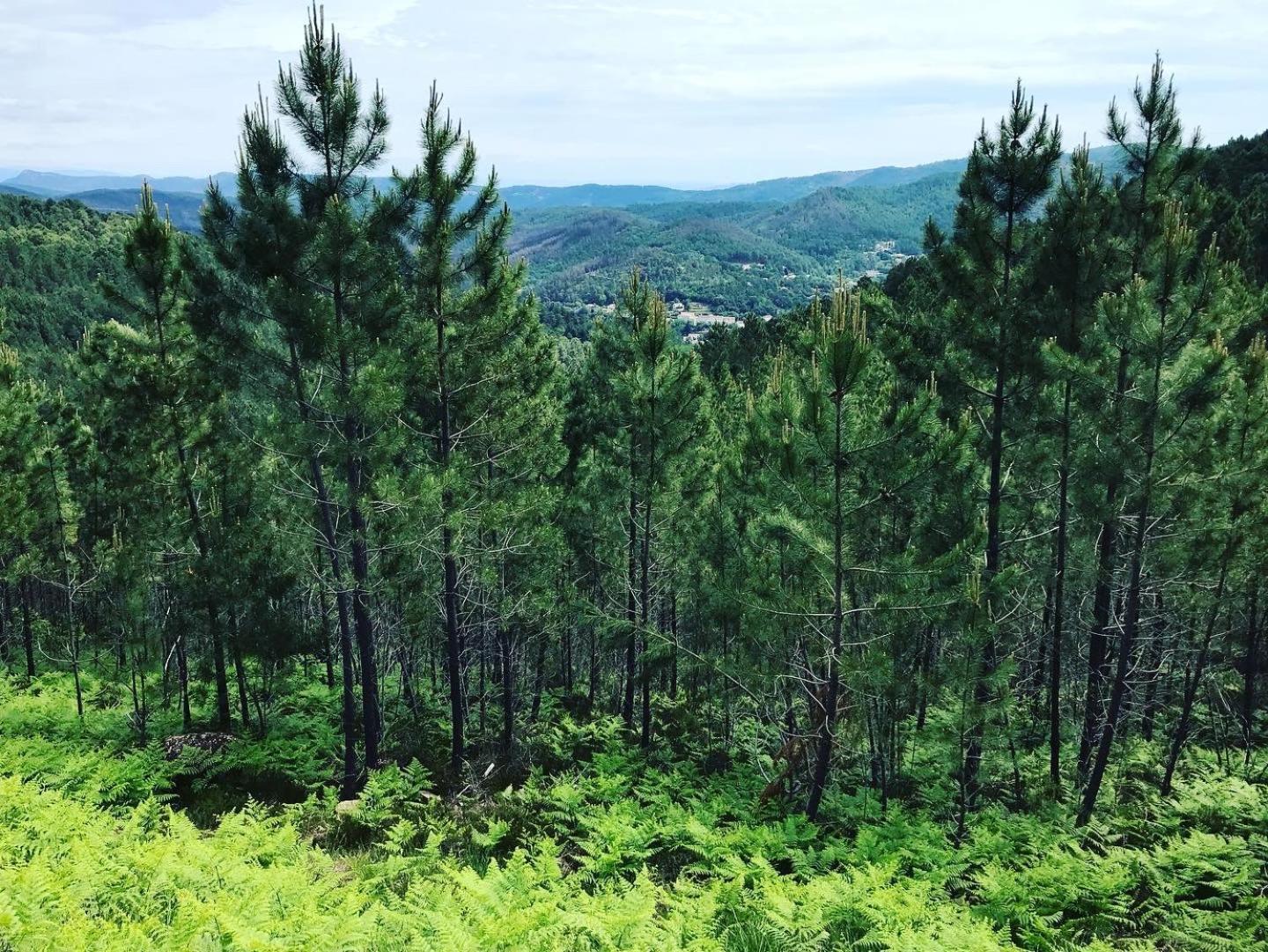 Detente Au Coeur Des Cevennes Besseges المظهر الخارجي الصورة
